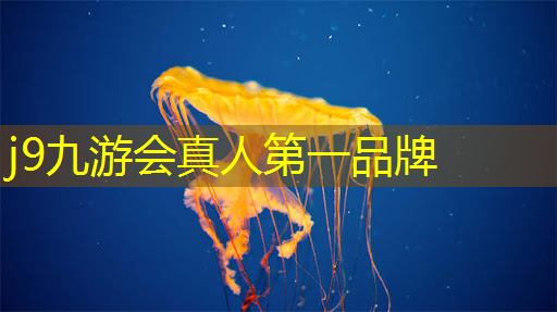 j9九游真人游戏第一平台：川美游戏原画设计师怎么样