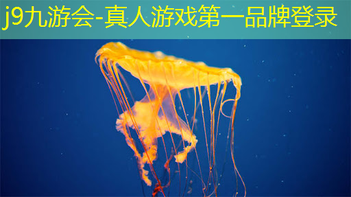 <strong>j9九游会-真人游戏第一品牌登录：游戏动漫原画理解与技法精解书</strong>